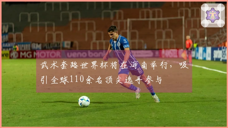 武术套路世界杯将在海南举行，吸引全球110余名顶尖选手参与